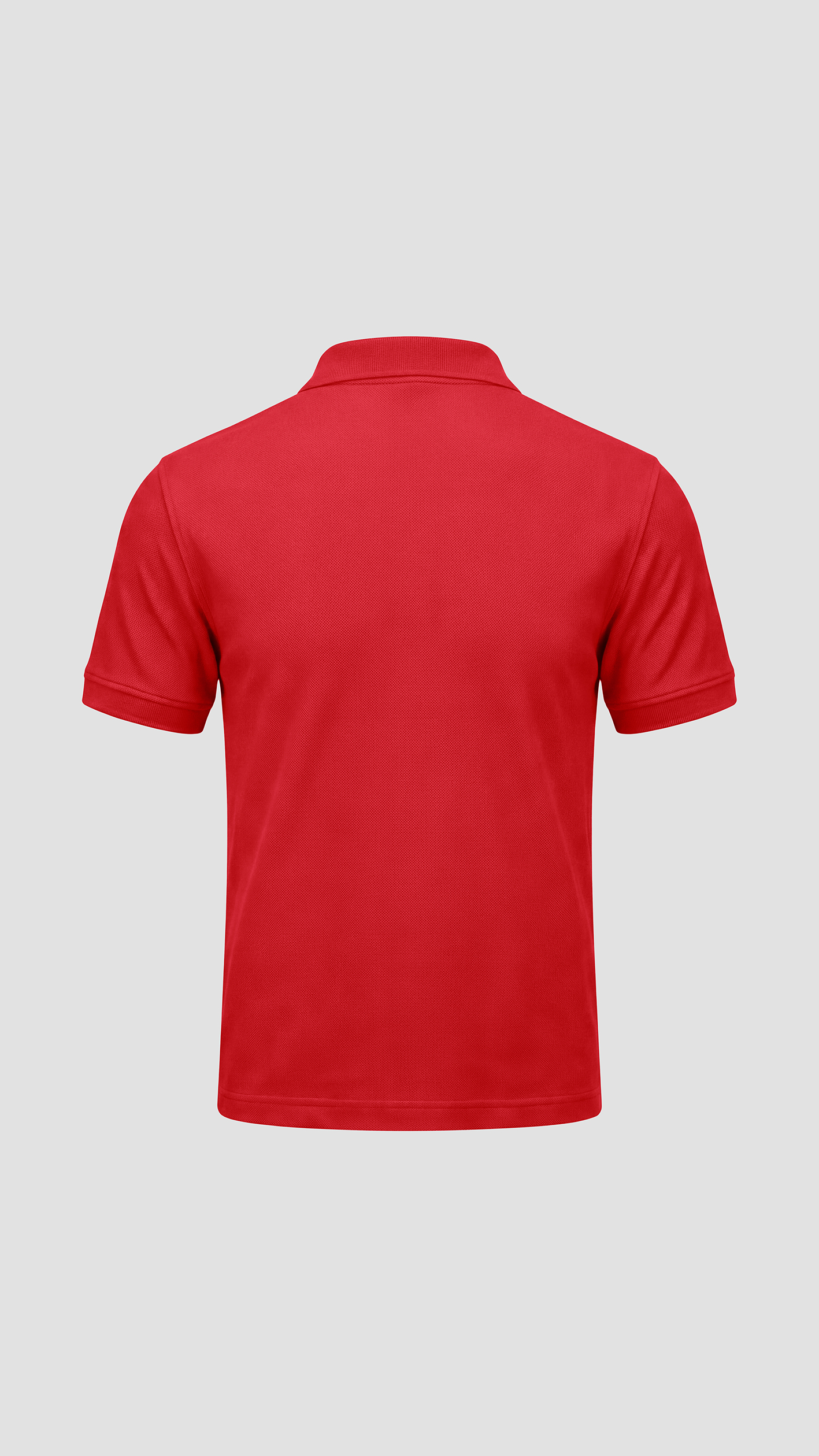Men's Lacoste polo-collar sweater with embroidered logo